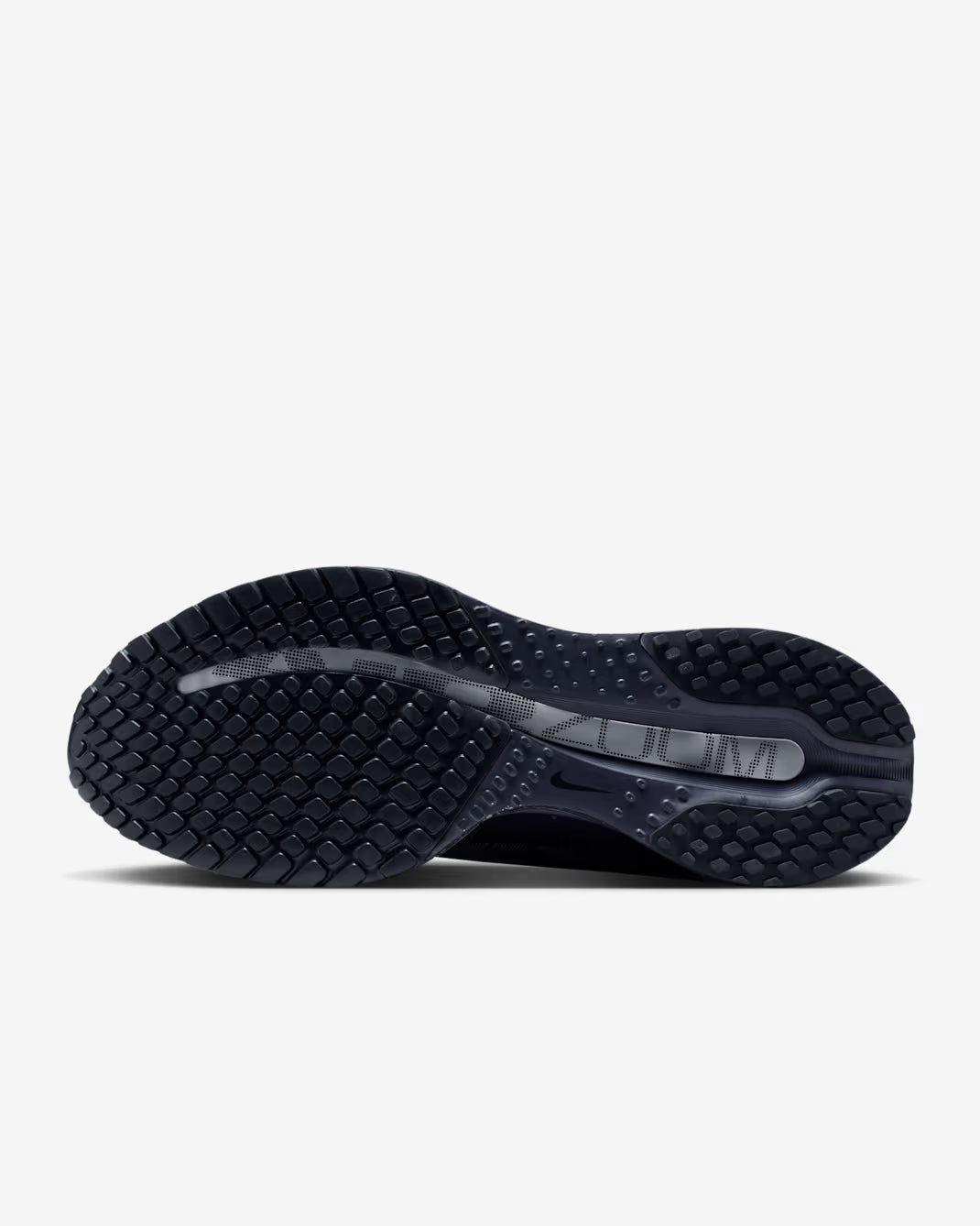Nike Pegasus Premium SE