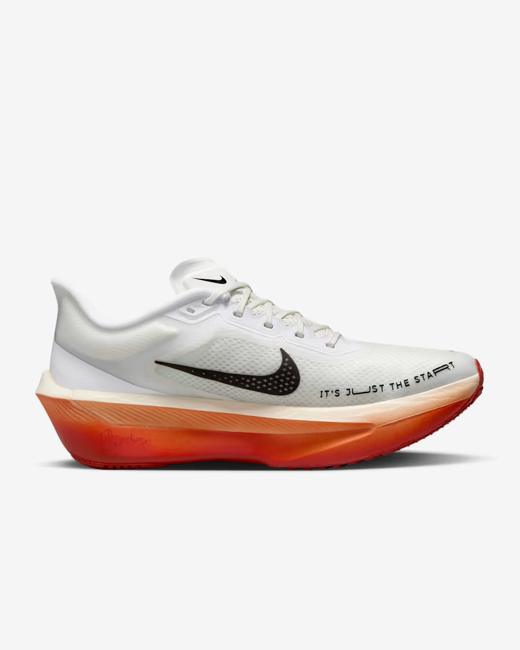 Nike Zoom Fly 6 'Eliud Kipchoge'