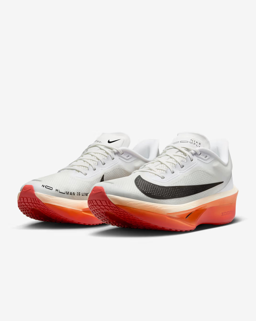 Nike Zoom Fly 6 'Eliud Kipchoge'