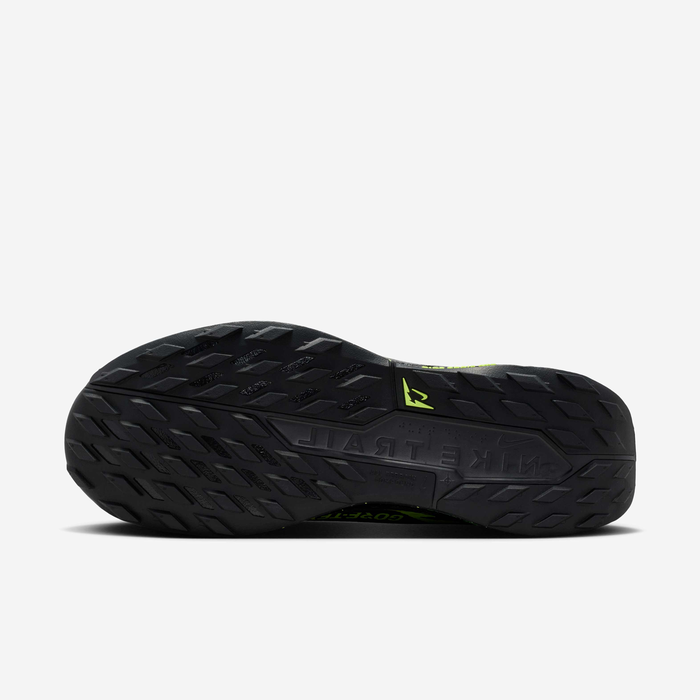 Nike Pegasus Trail 5 GORE-TEX