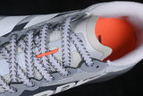 TERREX AGRAVIC TT GREY TWO/CLOUD WHITE/REFLECTIVE SILVER