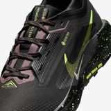 Nike Pegasus Trail 5 GORE-TEX
