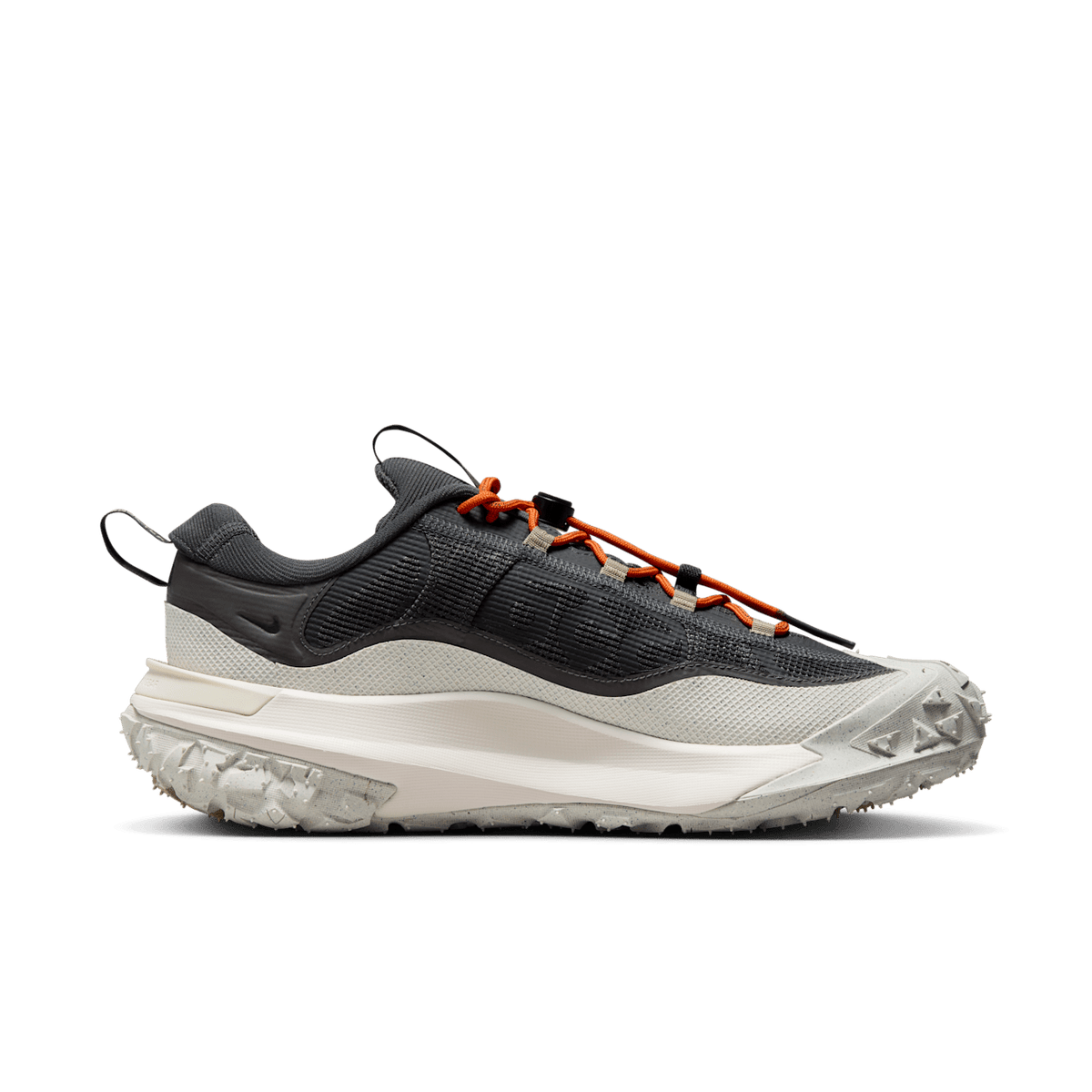 Nike ACG Mountain Fly 2 Low GORE-TEX