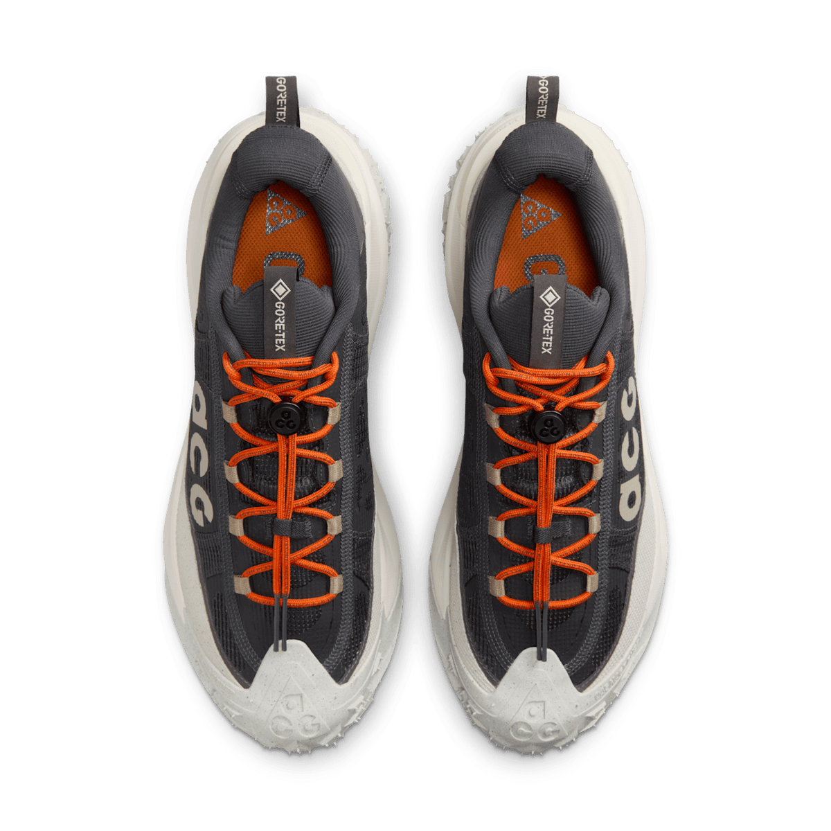 Nike ACG Mountain Fly 2 Low GORE-TEX