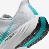 Nike Pegasus Plus