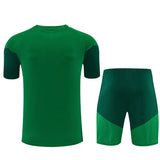 Algeria 26/27 Training Set - Green