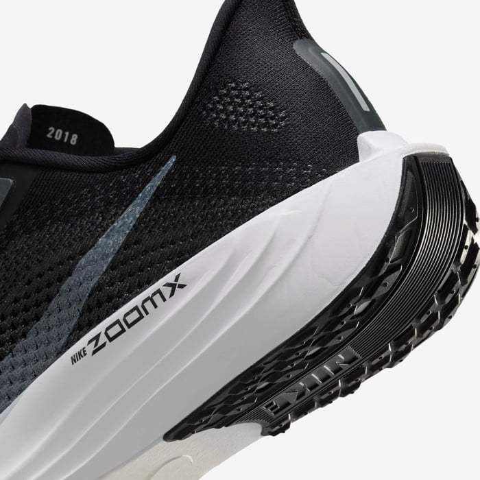 Nike Pegasus Plus