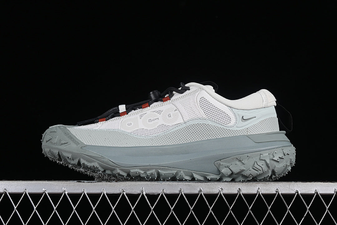 ACG MOUNTAIN FLY 2 LOW GTX SE PHANTOM/LIGHT SILVER/MICA GREEN/DARK SMOKE GREY