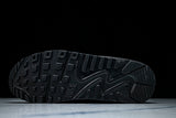 AJ1285-700 AIR MAX 90 WHEAT/COSMIC CLAY-BLACK