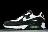 DH4619-100 AIR MAX 90 TRENDY COUPLE LOW TOP AIR CUSHIONED CASUAL WHITE/ICE BLUE/BLACK