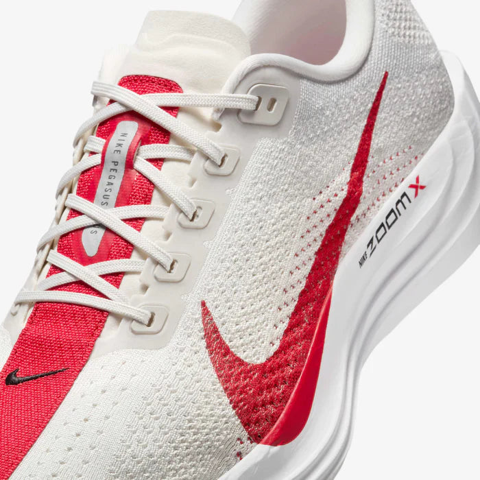 Nike Pegasus Plus