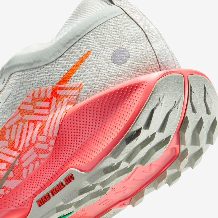 Nike Pegasus Trail 5 GORE-TEX