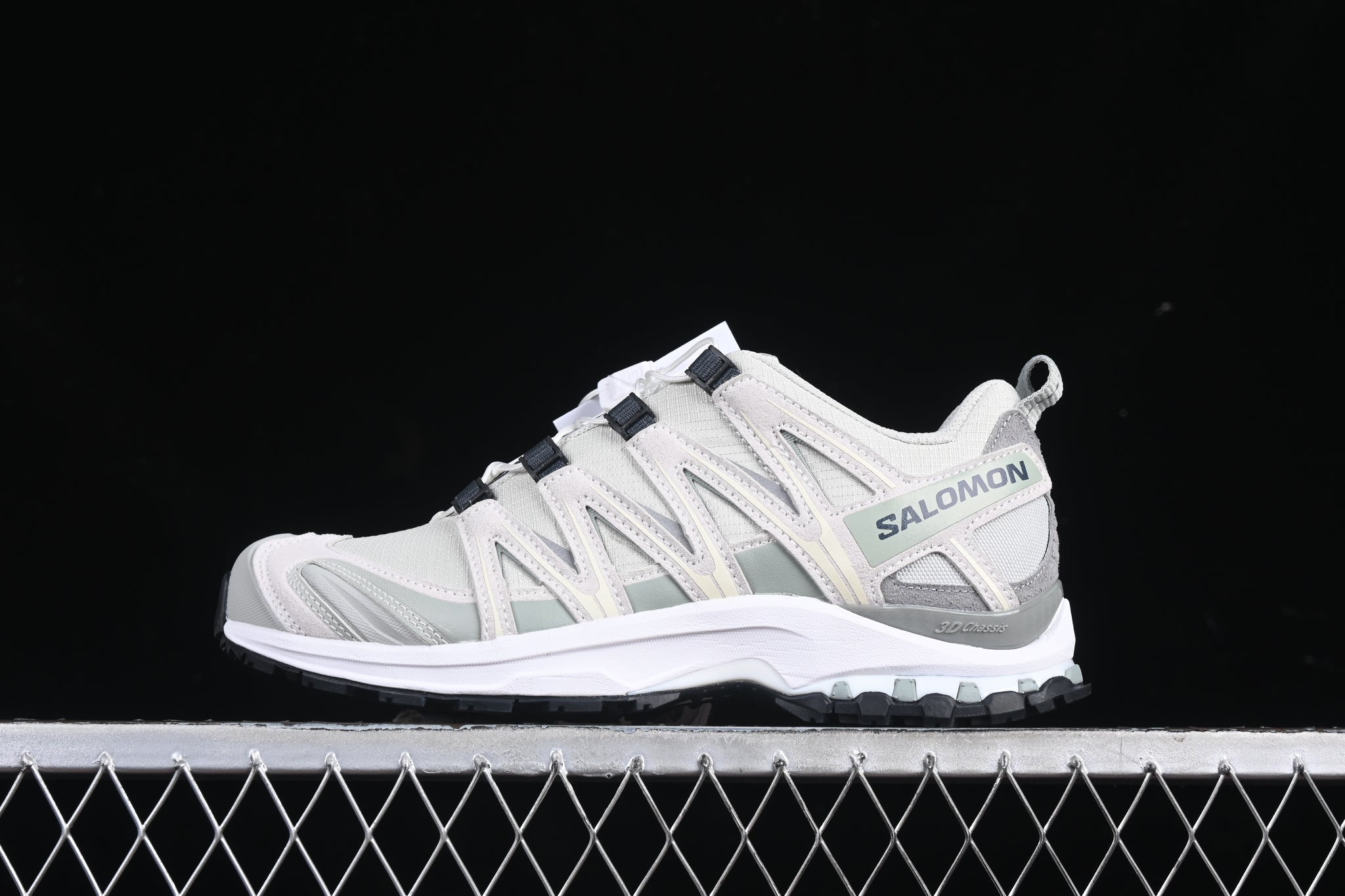 Salomon XA PRO 3D