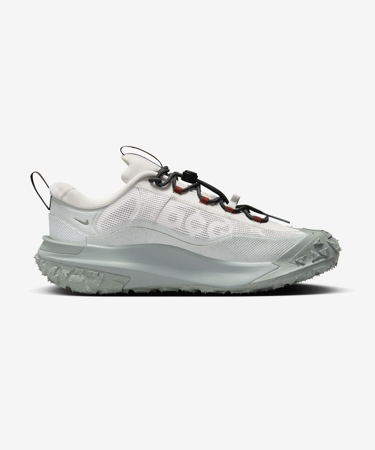 Nike ACG Mountain Fly 2 Low GORE-TEX
