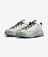 Nike ACG Mountain Fly 2 Low GORE-TEX