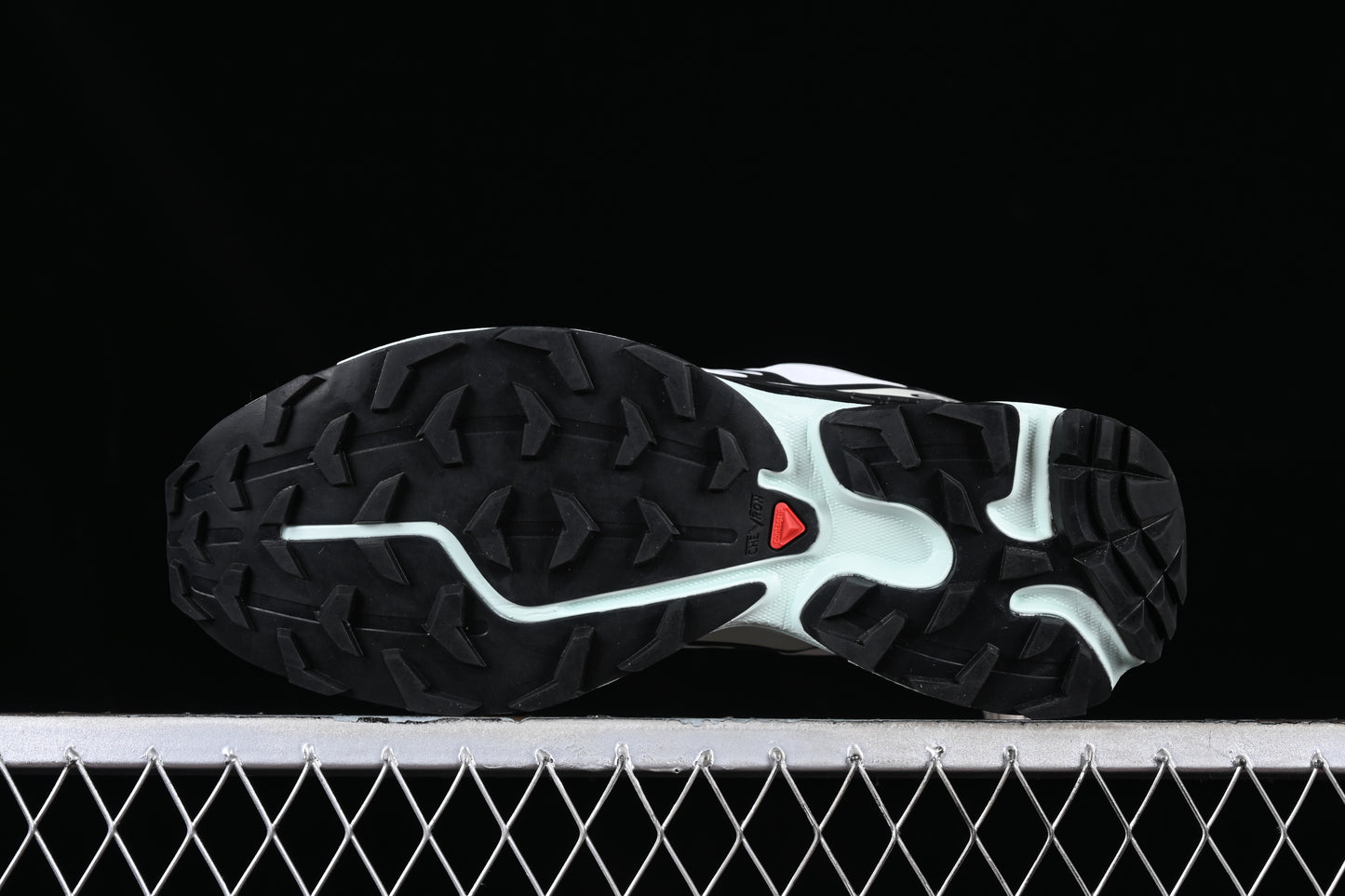 Salomon XT-6 "Expanse"