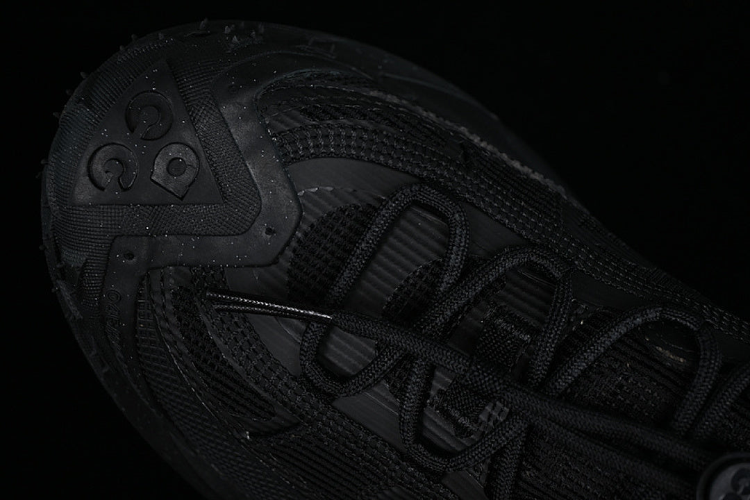 ACG MOUNTAIN FLY 2 LOW GTX SE BLACK
