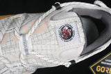 ACG MOUNTAIN FLY LOW GORE-TEX SE PHANTOM GREY/TIP