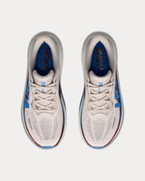 Hoka Clifton PRO