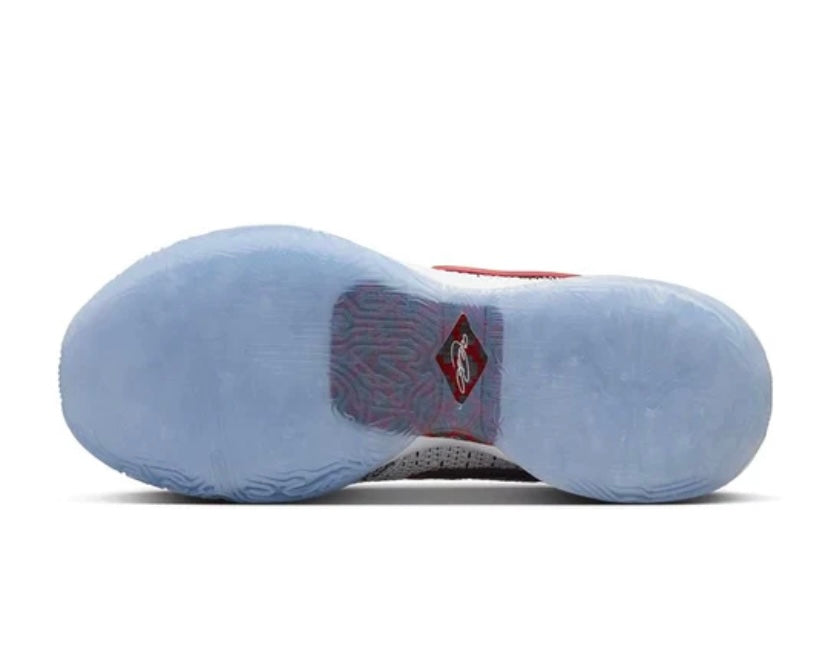 Nike lebron 20 white/blue