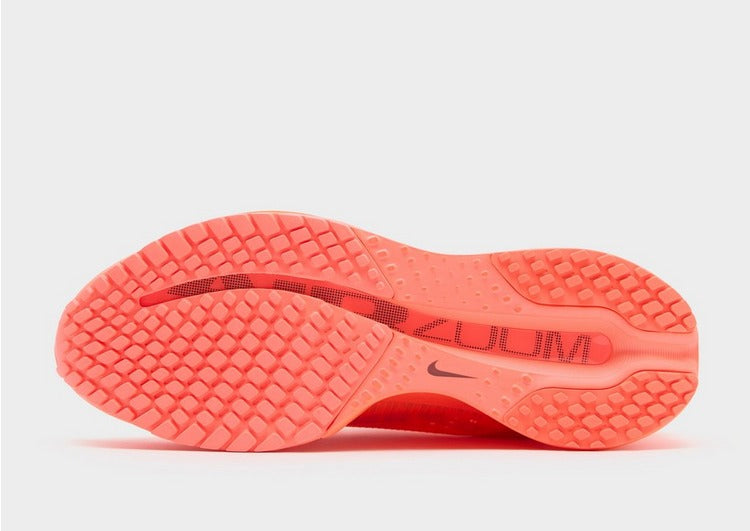 Nike Pegasus Premium Women's