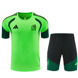 Mexico 26/27 Training Set - Green