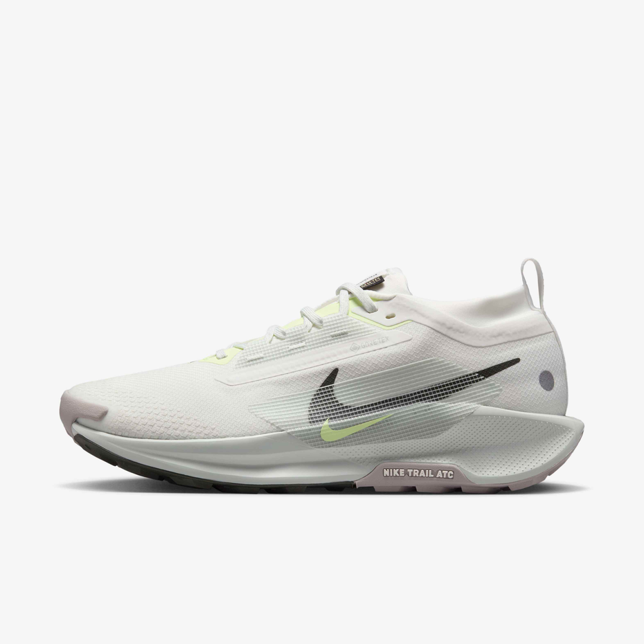 Nike Pegasus Trail 5 GORE-TEX