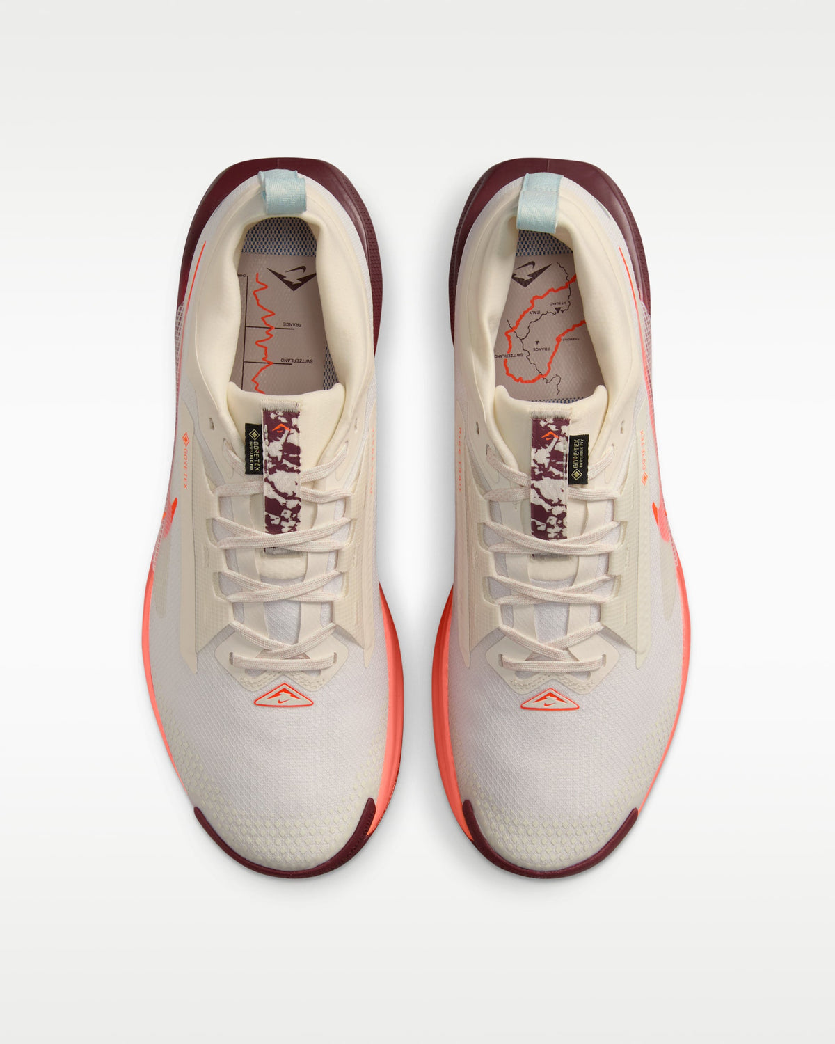 Nike Pegasus Trail 5 GORE-TEX