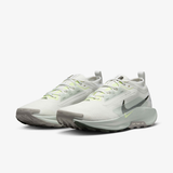 Nike Pegasus Trail 5 GORE-TEX