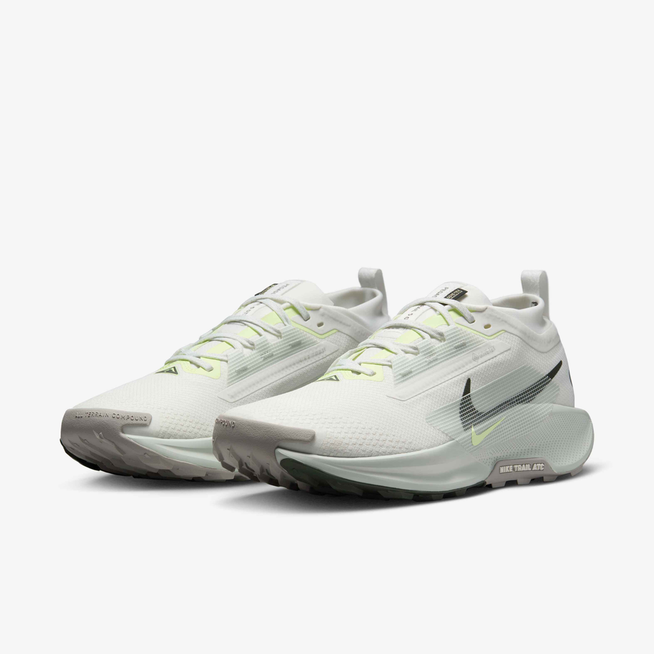 Nike Pegasus Trail 5 GORE-TEX