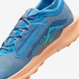 Nike Pegasus Trail 5 GORE-TEX
