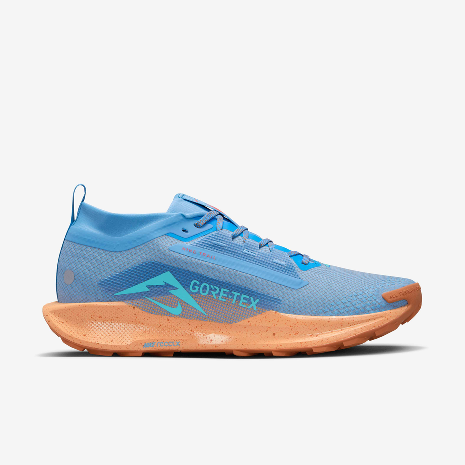 Nike Pegasus Trail 5 GORE-TEX