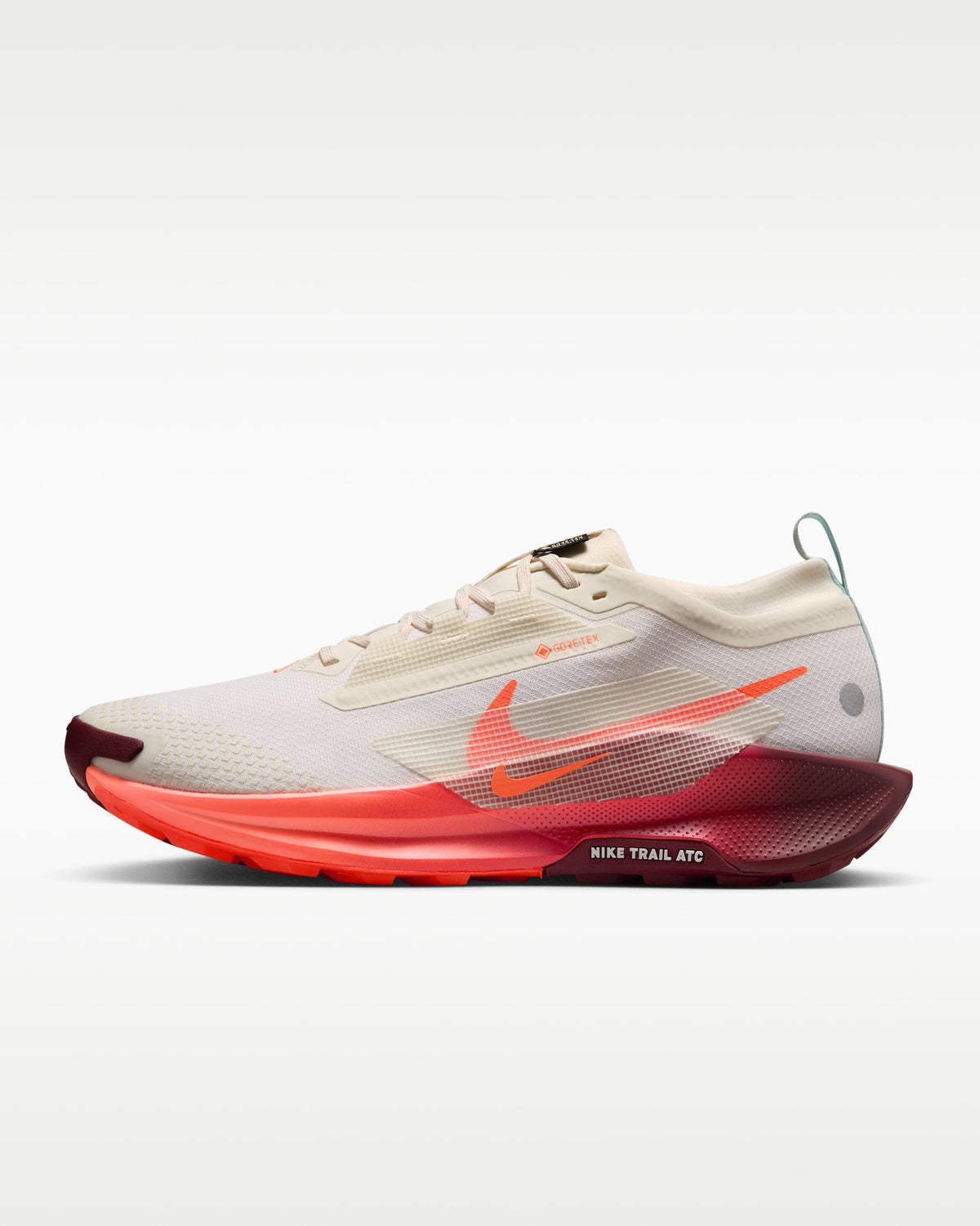 Nike Pegasus Trail 5 GORE-TEX