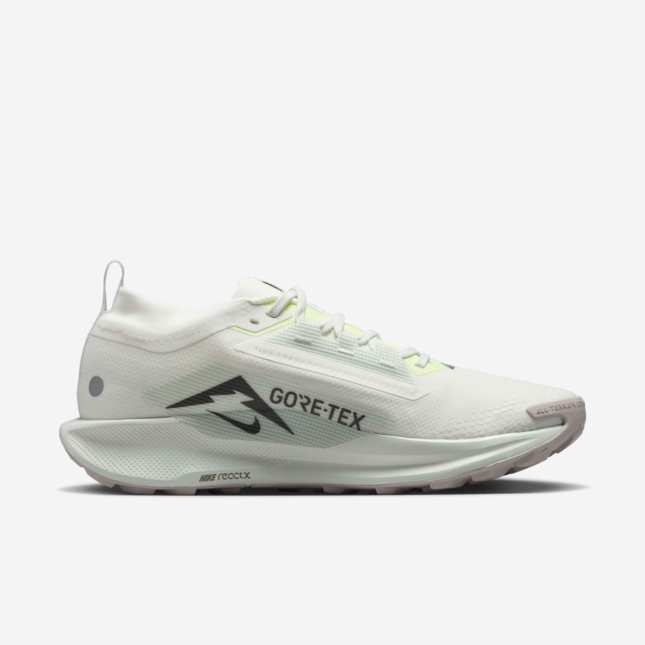Nike Pegasus Trail 5 GORE-TEX