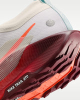 Nike Pegasus Trail 5 GORE-TEX
