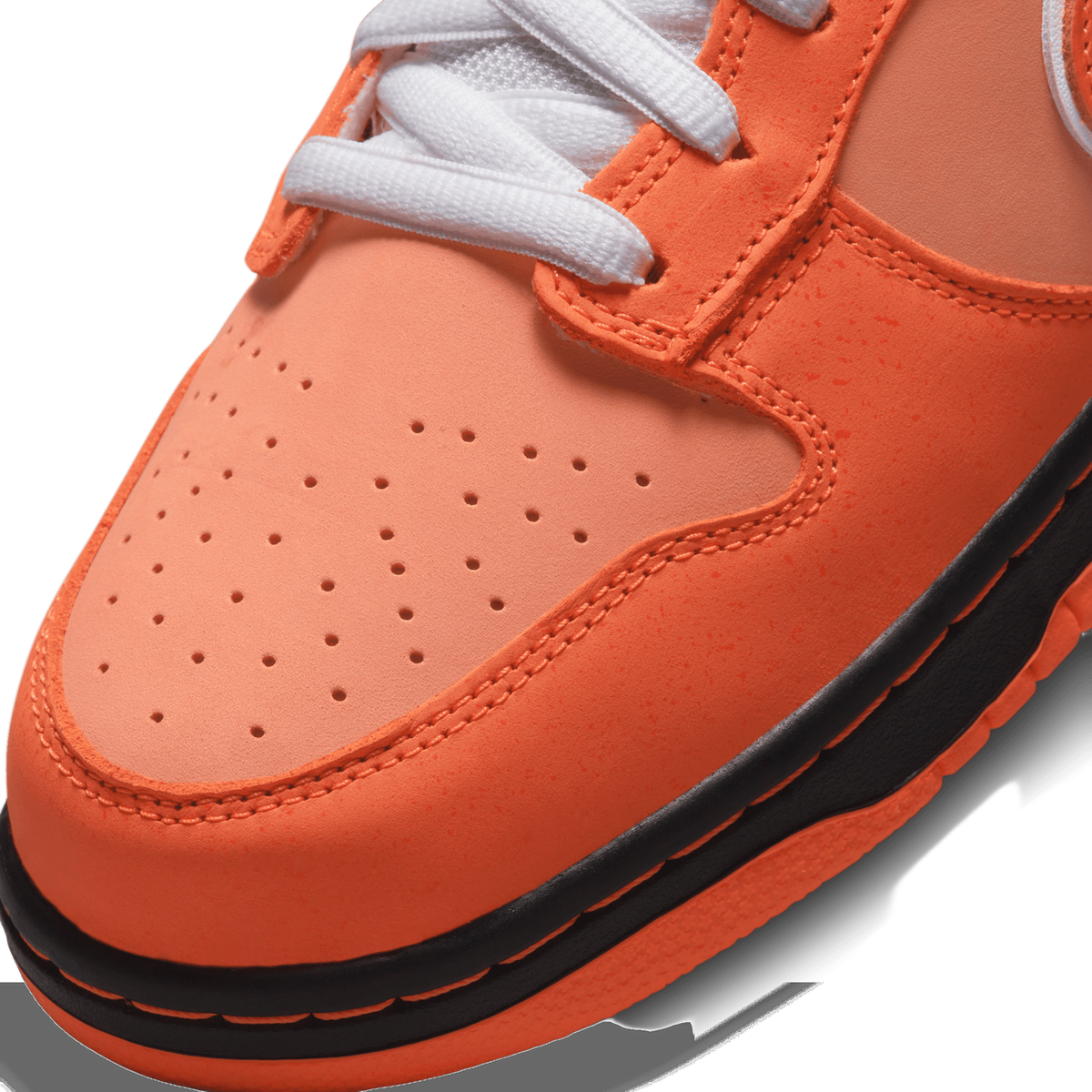 Nike SB Dunk Low Concepts 'Orange Lobster'