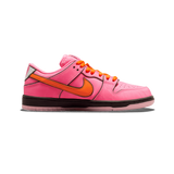 Nike SB Dunk Low The Powerpuff Girls 'Blossom'
