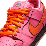 Nike SB Dunk Low The Powerpuff Girls 'Blossom'