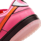 Nike SB Dunk Low The Powerpuff Girls 'Blossom'