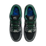 Nike SB Dunk Low 'There Skateboards'