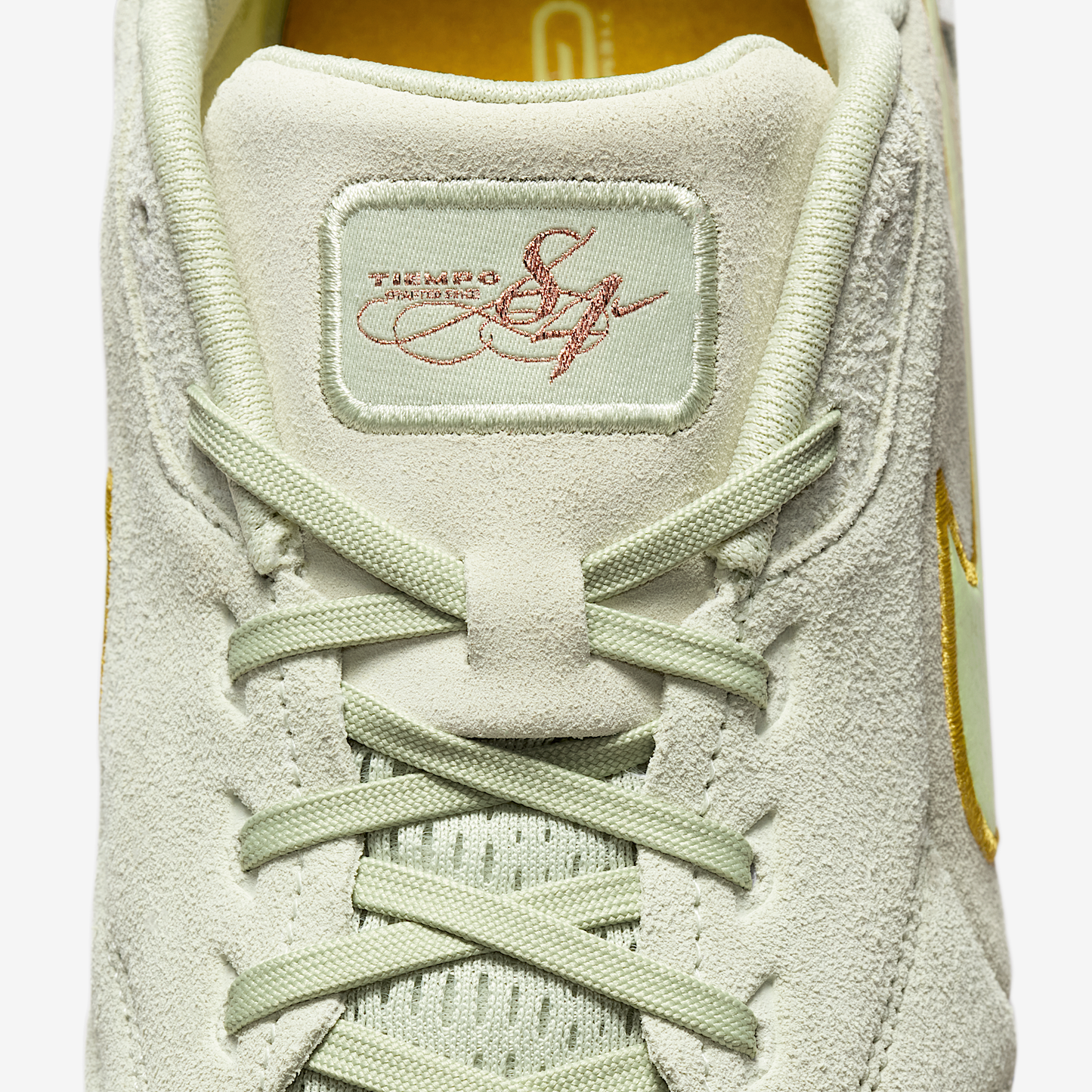 Nike Tiempo Streetgato LE